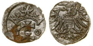 Poland, denarius, 1550, Gdansk
