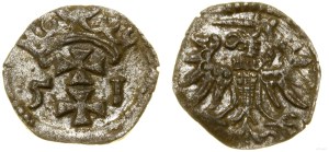 Poland, denarius, 1551, Gdansk