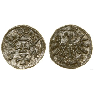 Polska, denar, 1554, Gdańsk