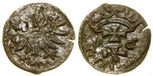 Poland, denarius, 1556, Gdansk