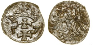 Poland, denarius, 1557, Gdansk