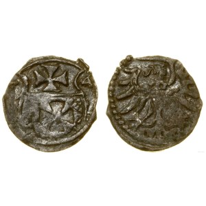 Polska, denar, 1554, Elbląg