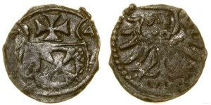 Poland, denarius, 1554, Elbląg