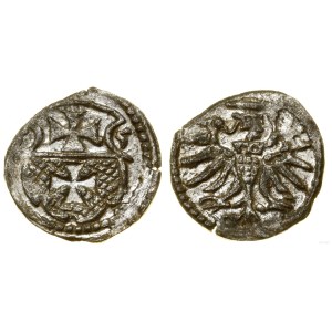 Polska, denar, 1555, Elbląg