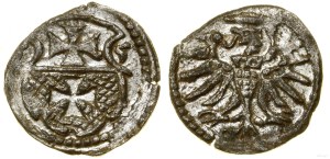 Poland, denarius, 1555, Elbląg