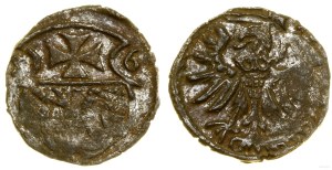 Poland, denarius, 1556, Elbląg