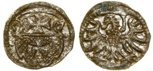 Poland, denarius, 1557, Elbląg