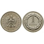 Polska, klaser z monetami polskimi z lat 1990-1995, Warszawa