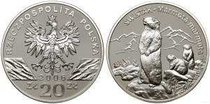 Poland, 20 zloty, 2006, Warsaw