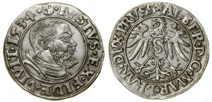 Ducal Prussia (1525-1657), penny, 1534, Königsberg