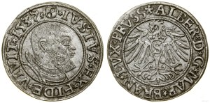 Ducal Prussia (1525-1657), penny, 1537, Königsberg