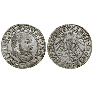 Prusy Książęce (1525-1657), grosz, 1544, Królewiec