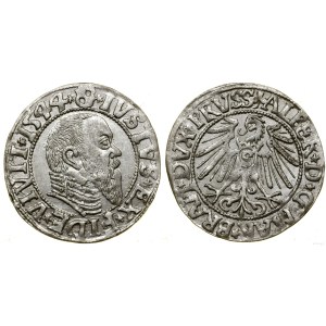 Prusy Książęce (1525-1657), grosz, 1544, Królewiec