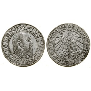 Prusy Książęce (1525-1657), grosz, 1545, Królewiec