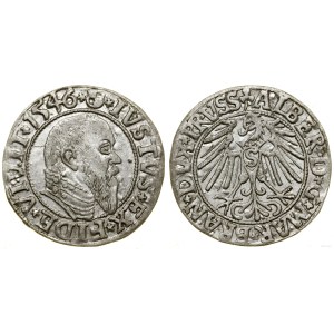 Prusy Książęce (1525-1657), grosz, 1546, Królewiec