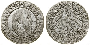 Ducal Prussia (1525-1657), penny, 1546, Königsberg