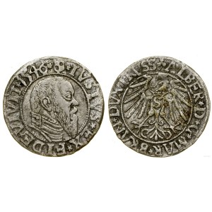 Prusy Książęce (1525-1657), grosz, 1546, Królewiec
