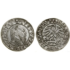 Prusy Książęce (1525-1657), grosz, 1547, Królewiec