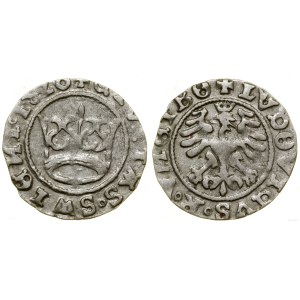 Śląsk, półgrosz miejski, 1526, Świdnica