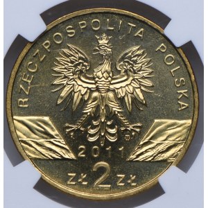 Third Republic, 2 Gold 2011 Badger