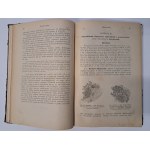 BIRCH-HIRSCHFELD - Lecture on Pathological Anatomy 1884