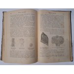 BIRCH-HIRSCHFELD - Lecture on Pathological Anatomy 1884