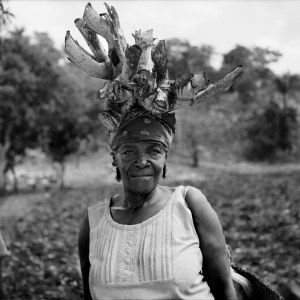 LEAH GORDON, Kanpe II, 2011
