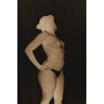 NASSER TEYMOURPOUR, Fembidden, 2017