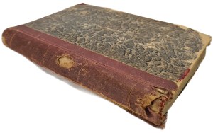 MAKARCZYK Janusz - AMERICAN CARousel Novel.
