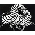 Victor Vasarely (1906-1997), Zebry