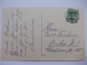 Pszczyna, Pless, forests, bison, 1912
