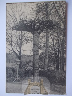 Kobior near Pszczyna, near the hunting lodge, 1928