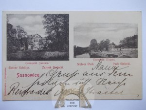 Sosnowiec, Sielicki Castle, Park, 1899