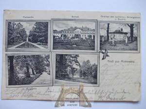 Minkowskie near Namyslow, palace, park, ca. 1918