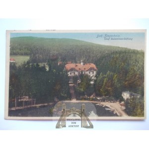 Głuchołazy, Ziegenhals, fundacja Ballestrema, 1919