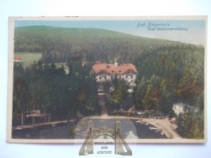 Glucholazy, Ziegenhals, Ballestrem Foundation, 1919