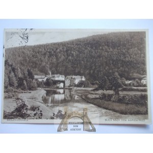 Głuchołazy, Ziegenhals, Marienfried, 1921