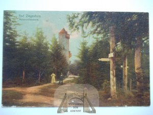 Glucholazy, Ziegenhals, observation tower, 1909