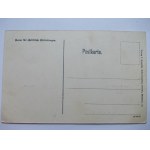 Trzebnica, Trebnitz, pensjonat, ok. 1910