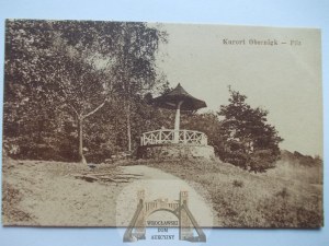 Oborniki Śląskie, Obernigk, mushroom, 1920