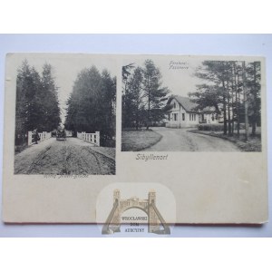 Szczodre, Sybillenort, mostek i bażanciarnia, 1904