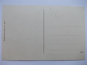 Sicow, Gross Wartenberg, hospital, ca. 1910
