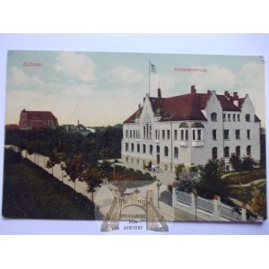Góra, Guhrau, urząd stanu cywilnego, 1916