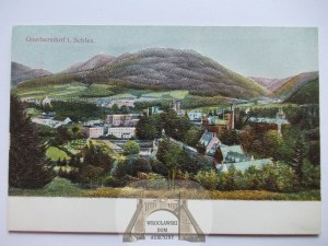 Sokolowsko, Gorbersdorf, panorama, all pressed, circa 1900.