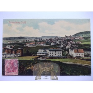 Boguszów Gorce, Gottesberg, panorama, 1909