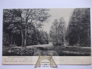 Jedlina Zdrój, Bad Charlottebrunn, cure park, 1901