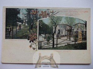 Strzegom, Striegau, Spitzberg, 1906