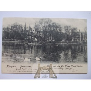 Legnica, Liegnitz, staw, widok na kościół, 1904