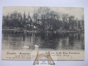 Legnica, Liegnitz, pond, view of church, 1904