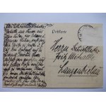 Legnica, Liegnitz, palmiarnia, ok. 1912